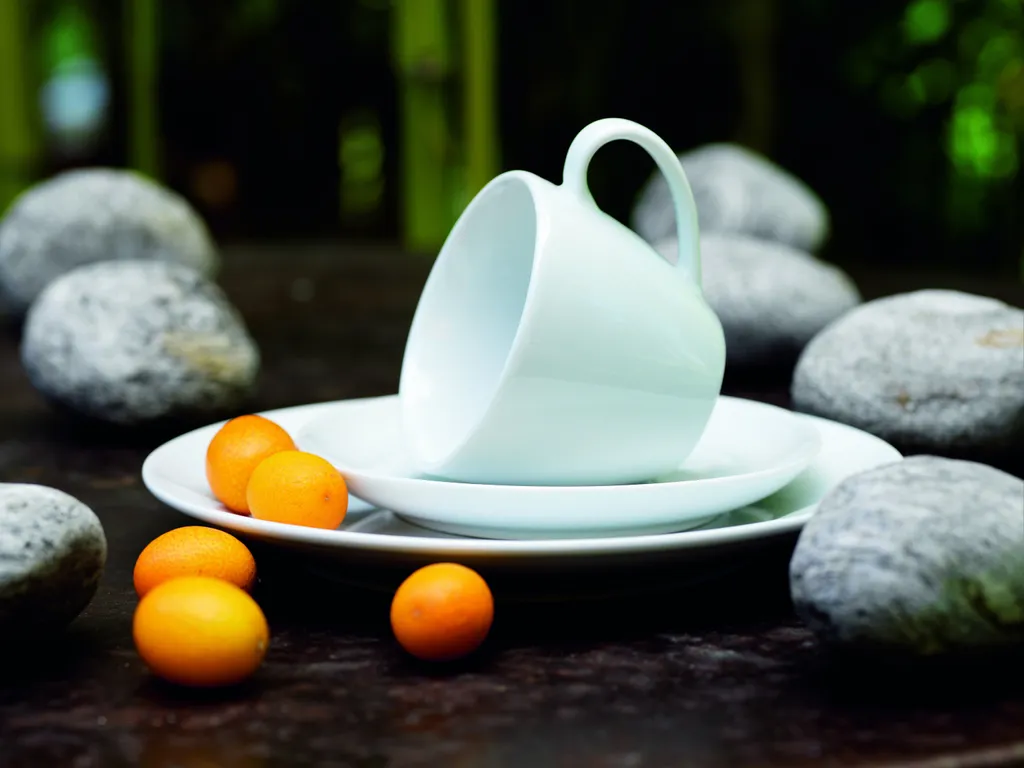 Mäser 102034 Kombiservice Alesia Für 6 Personen, Porzellan, Weiß (1 Set, 62-teilig) – Bild 2